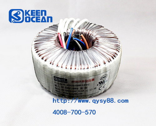 僑洋實業（天裕電子）醫療變壓器