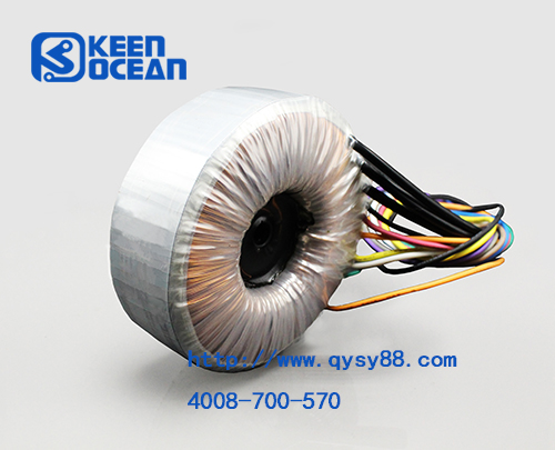 僑洋實業環形變壓器專業定制