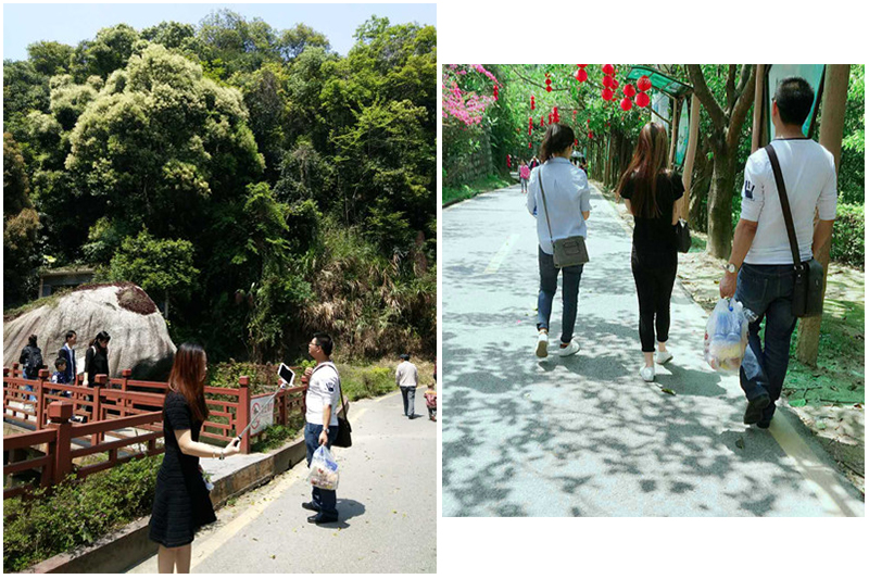 僑洋實(shí)業(yè)小伙伴來一場(chǎng)說走就走的清明一日游 僑洋實(shí)業(yè)小伙伴來一場(chǎng)說走就走的清明一日游