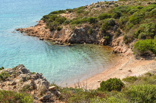 周末共享風(fēng)景