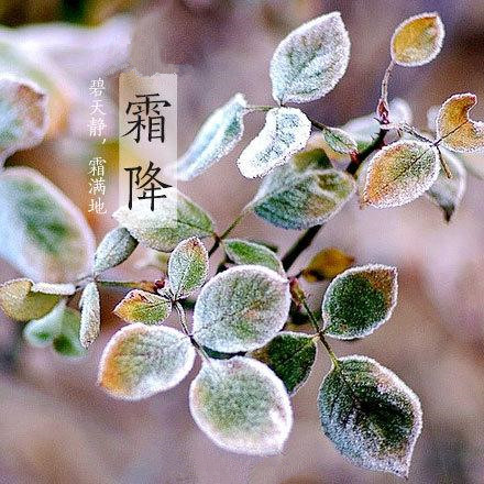 2017年霜降來臨，冬季將來了。