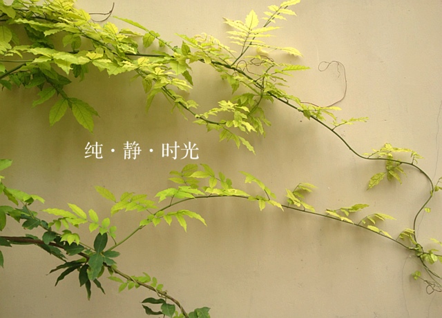 周末時光到來，好好去放松吧！