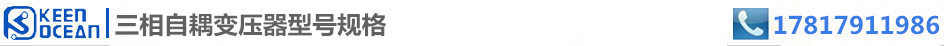 標簽三相自耦變壓器型號規格