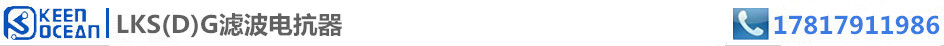 標簽LKS(D)G濾波電抗器型號規格