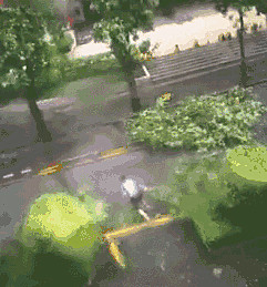 臺風(fēng)山竹那些暖心的背影。