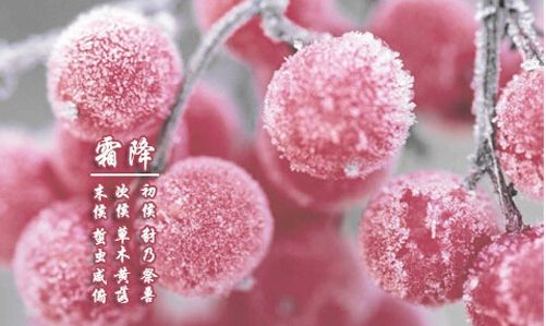 霜降已到,冬天還會遠嗎? 霜降已到,冬天還會遠嗎?