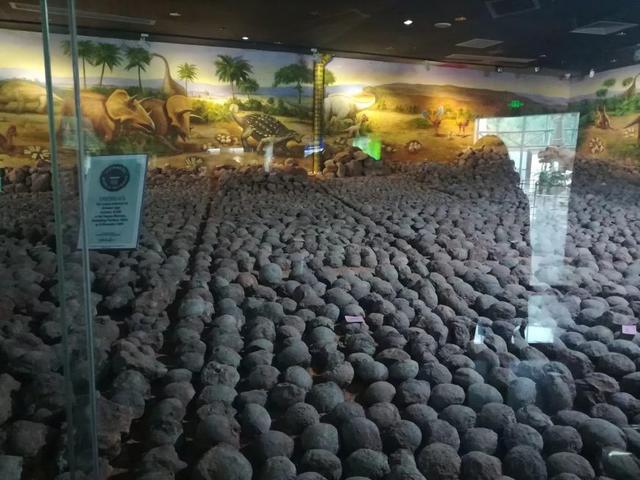 國際博物館日,僑洋實業環形變壓器廠家與您有個約會 國際博物館日,僑洋實業環形變壓器廠家與您有個約會